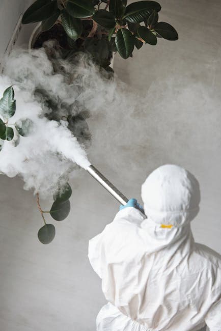 Your Go-To for Top Tier Cleaning & Pest Control in Qatar