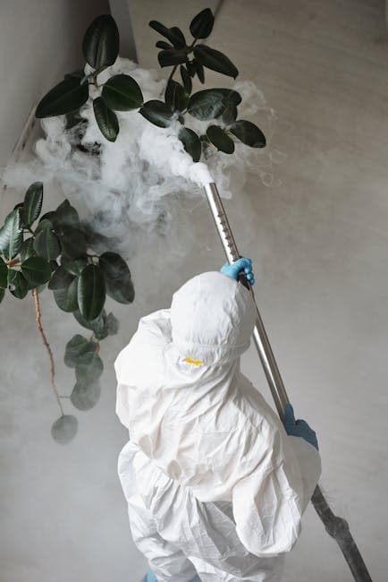Expert Cleaning & Pest Control Services in Qatar: Your Ultimate Guide