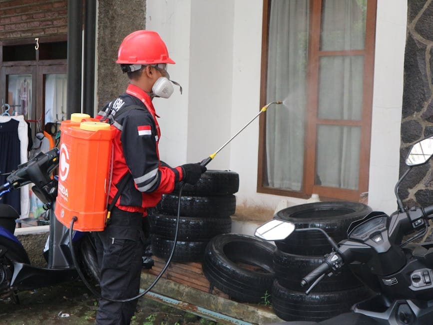 Pest Control & Cleaning Services in Qatar – able Solutions